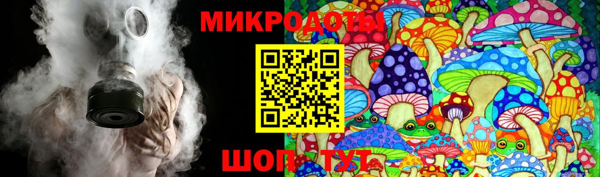 Псилоцибиновые грибы прущие грибы  Вход с VPN  Каменка  Псилоцибиновые грибы ЛСД 